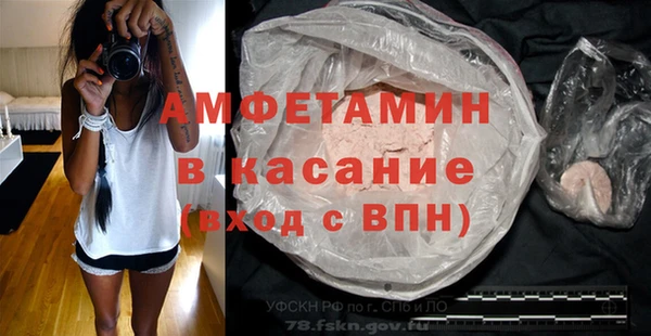 стаф Тутаев