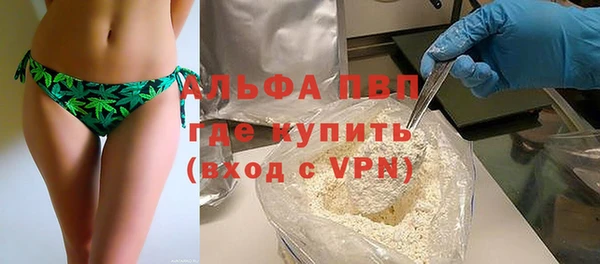 гидра Кущёвская